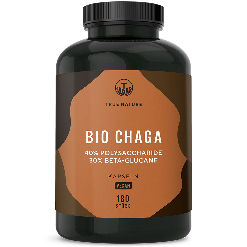 Bio Chaga Pilz Extrakt