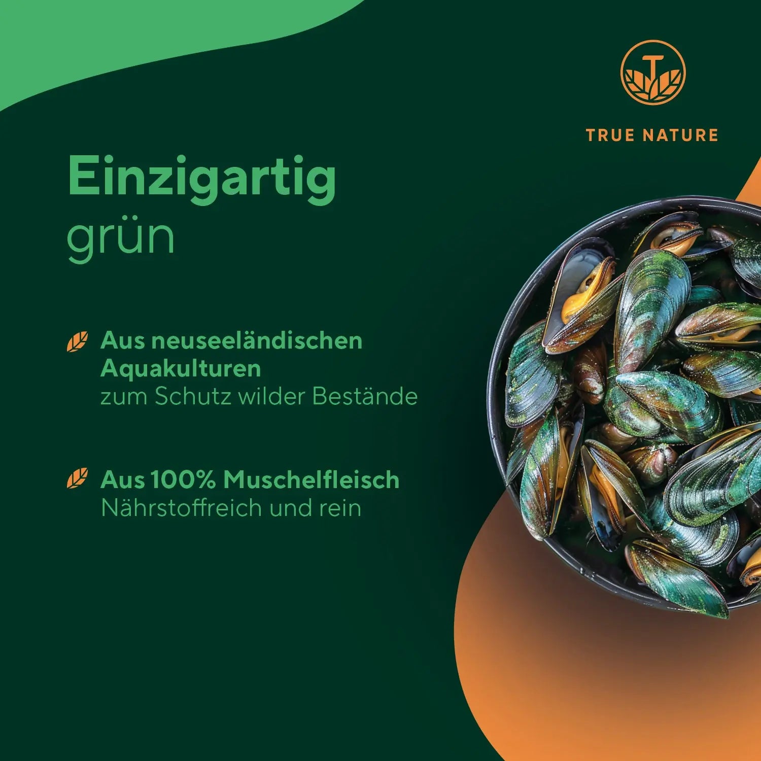 Grünlippmuschel Kapseln  True Nature   