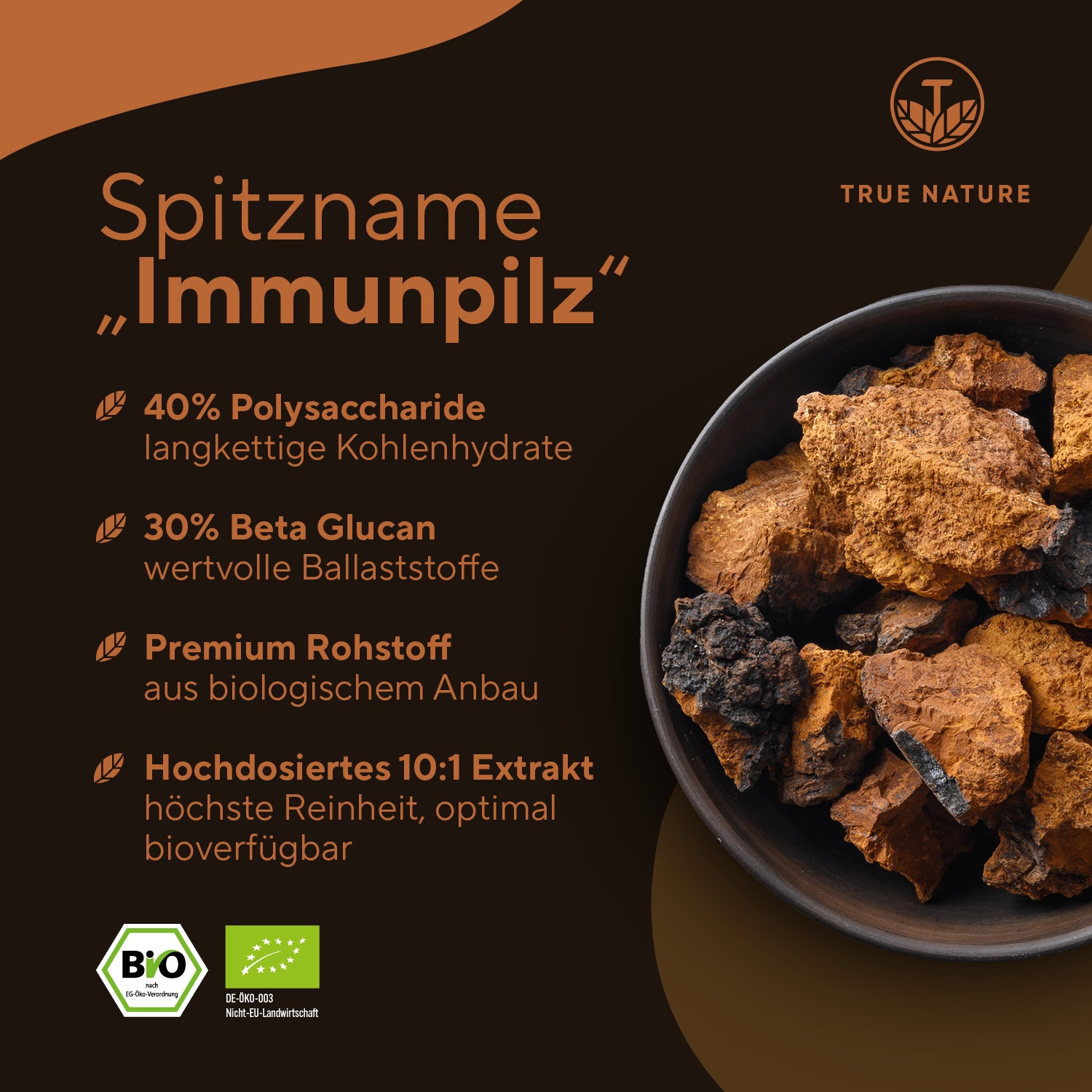 Bio Chaga Pilz Extrakt