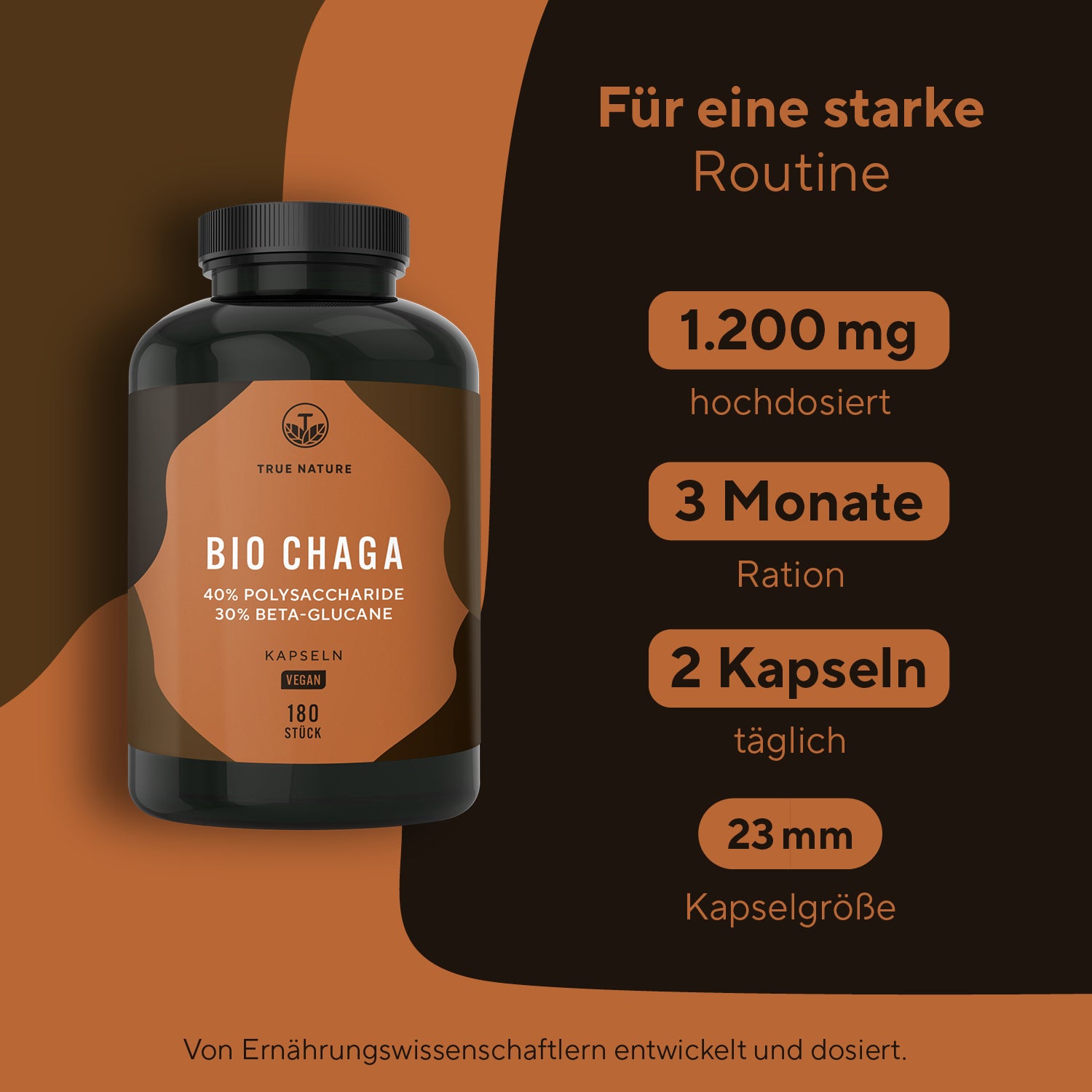 Bio Chaga Pilz Extrakt