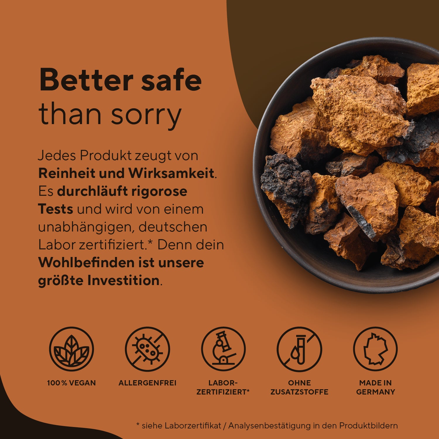 Bio Chaga Pilz Extrakt