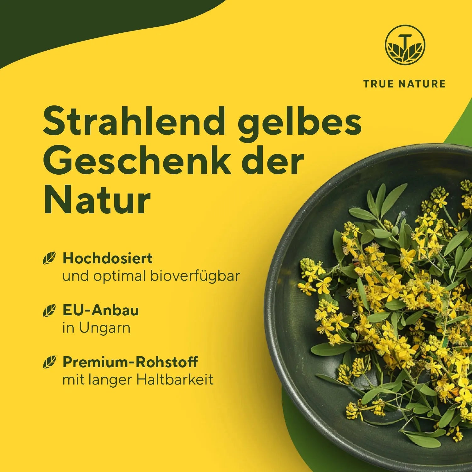 Steinklee Kapseln Vitamine & Nahrungsergänzungsmittel True Nature   